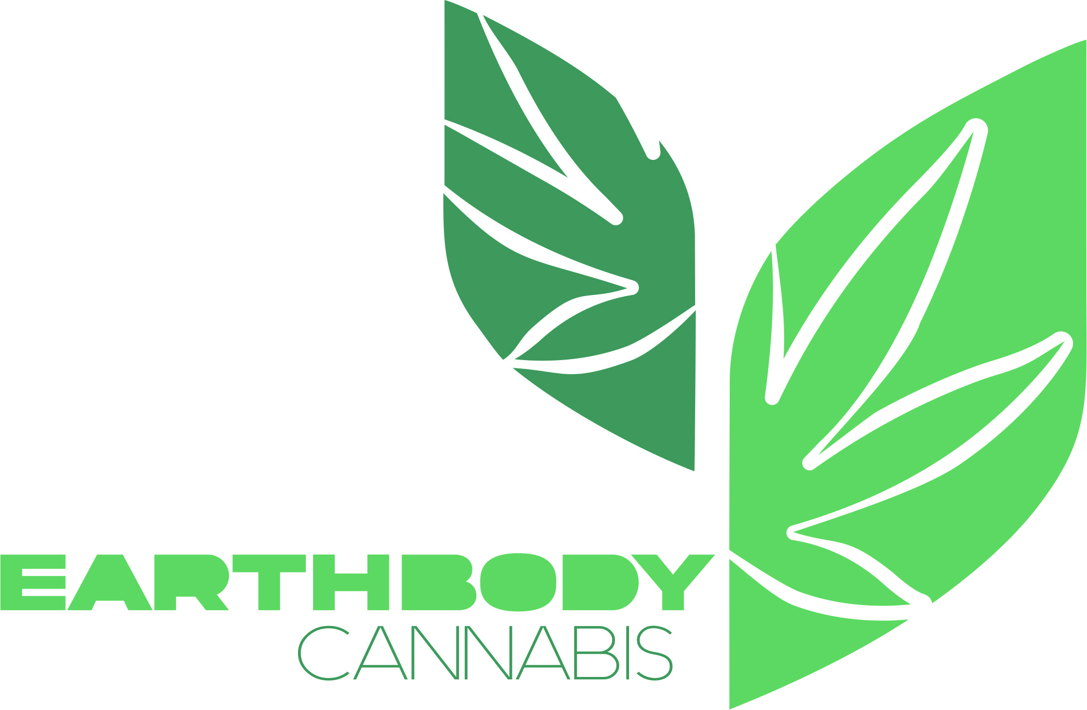 EARTHBODY CANNABIS_Colour Logo